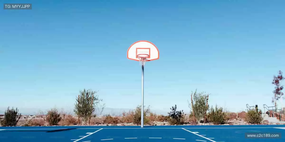 互动时刻,与你同在!💬🎉